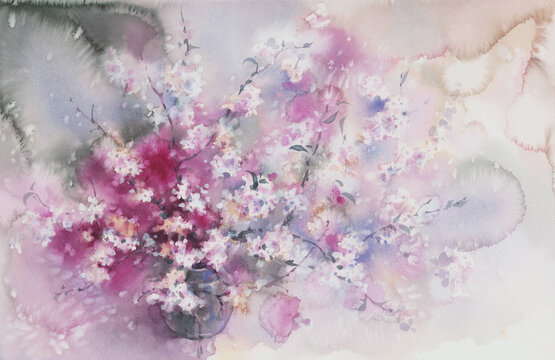 White sakura in bloom watercolor background. Spring flowering illustration