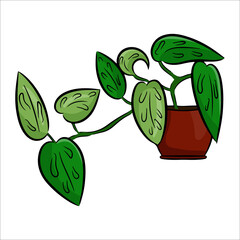 A potted houseplant in a flat cartoon style. An element for decorating your home, room or office. Vector illustration isolated on a white background.