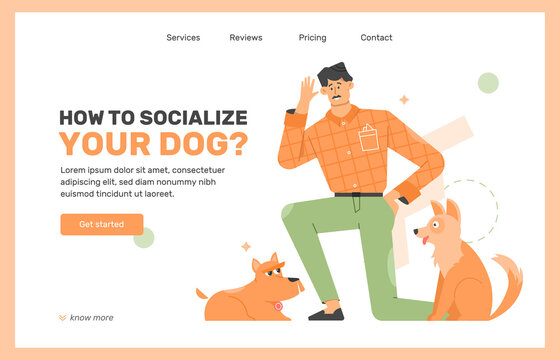 Training, Education And Socialization Of Dogs. Education Of Pets. Furry Friends. Pet Owner. Landing Page Design Concept. Vector Flat Illustration.