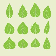 Spring Leaf icon set. Different green leaves collection outline vector illustration. leaves with flat design style