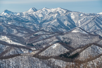 Winter landscape in the snowy tree lined mountains of Sapporo, Hokkaido, Japan