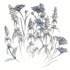 Floral set of sage sprigs and cornflowers on a white background. Hand-drawn in mixed media, markers and liners. The illustration is suitable for holiday cards, textiles and design.