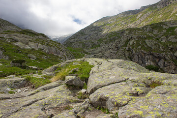 High altitude alpine landscape with rocks covered with moss and grass. Path leading to the Gelato Lake which divides Val Nambrone from the Presanella glaciers, Trentino, Italy.