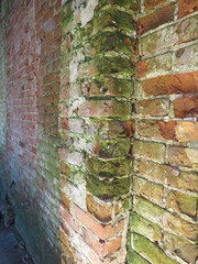 An old abandoned building on a sunny day.