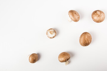 Fototapeta na wymiar champignons mushrooms isolated on the white background. top view