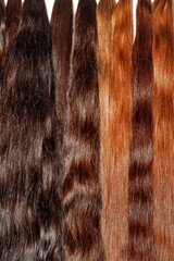 Texture of natural shenyon hair dark chocolate color, shiny.