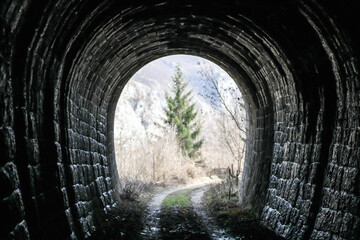 an abandoned tunnel through which a train once passed has long since grown into greenery
