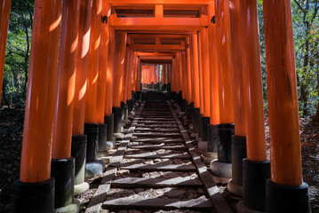 Fushimi Inari Taisha, walking through thousands of red torii gates in religious Japanese Shinto...