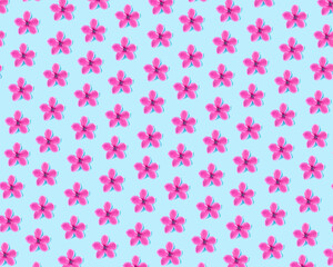 Pattern made of  pink flowers on a light blue cyan background.