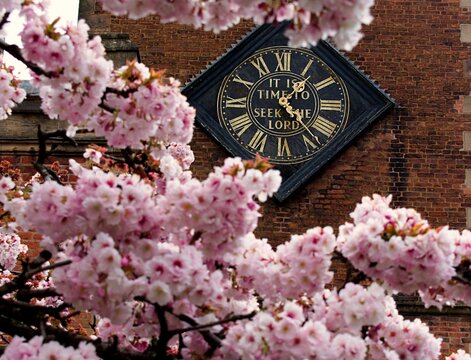 The clock on the church tower It Is Time To Seek The Lord, with beautiful cherry blossom in the foreground. UK Saint Nics.