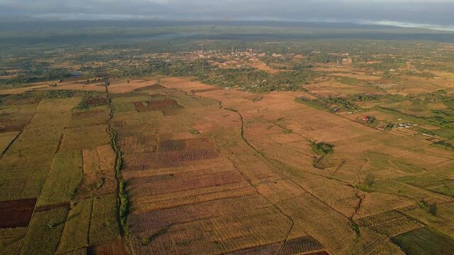 Aerial view of sunlit farmlands, evening in rural Africa - reverse, drone shot