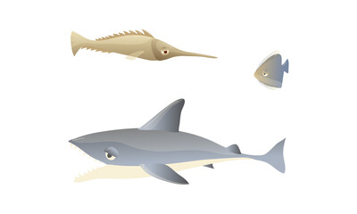 Ocean Underwater Animals with Floating Shark Vector Set