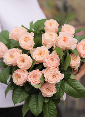 Woman with bunch of pink roses. Young woman holding a big bouquet of pink roses in Women's day. Fresh cut flowers.