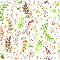 Pattern of flowers and grasses painted with watercolors on white background. Green leaves and flowers on a white background.
