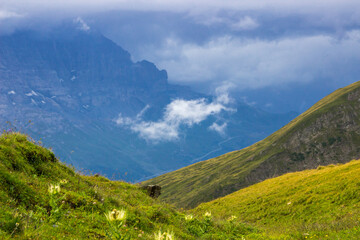 Fototapeta na wymiar Grindewald Valley and mountain trail in Switzerland