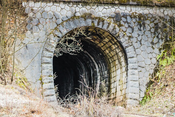 an abandoned tunnel through which a train once passed has long since grown into greenery

