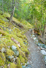 Fragment of a trail in Mount Baker Visitor Center, WA, USA.