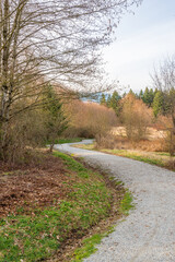 Trail through lush green forest in Deer Lake Park, Vancouver, Canada.