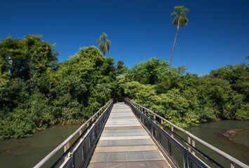 The wooden bridge over the river. View of the empty boardwalk into the green jungle in Iguazu national park in Misiones, Argentina.