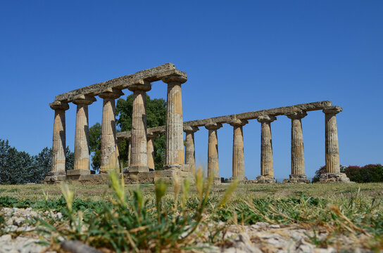 Tavole Palatine