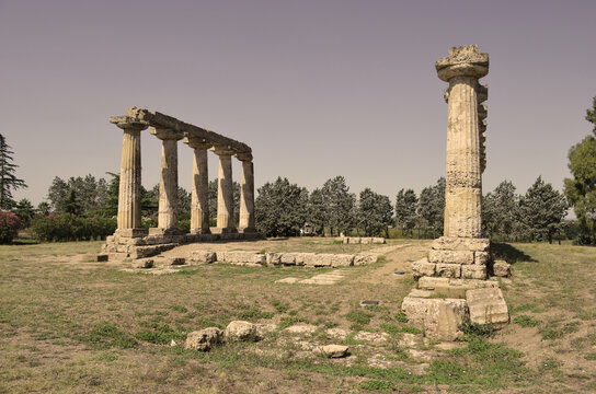 Tavole Palatine