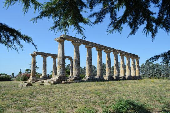 Tavole Palatine