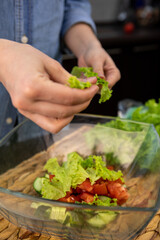 cooking summer salad cucumber and tomatoes
