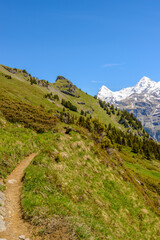 View of beautiful landscape in the Alps with fresh green meadows and snow-capped mountain tops in the background on a sunny day with blue sky and clouds in springtime.