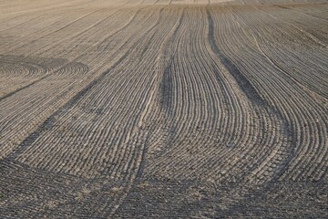 A close-up of furrows in a freshly plowed field in spring. 
