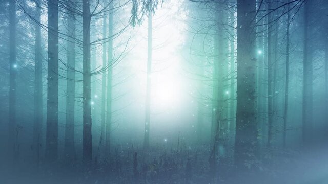 Mysterious foggy light in turquoise fairy tale woods with flying artistic fireflies. 