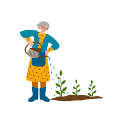 Old woman is watering plants. A hobby is gardening. The joy of working outdoors. Flat style Vector Illustration.