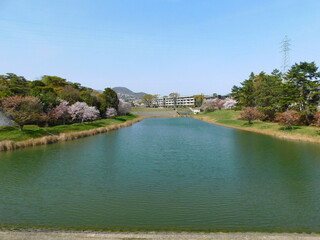 Fototapeta na wymiar ニテコ池(兵庫県西宮市で2021年4月撮影)