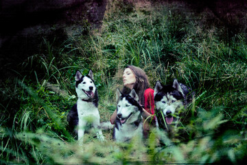 Naklejka na ściany i meble woman in red dress with tree wolfs, forest, husky dogs mystery portrait