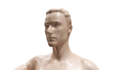 3d illustration of a bald woman. Image of a female head on a white background