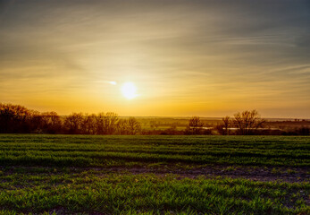 Fototapeta na wymiar sunset over meadows 