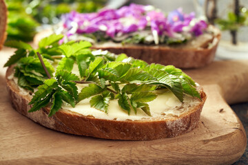A slice of sourdough bread with butter and young leaves of ground elder or goutweed - a wild edible plant growing in spring
