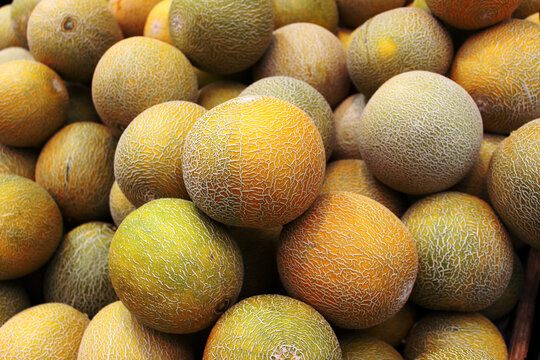 Melonendessert Bilder – Durchsuchen 151,370 Archivfotos, Vektorgrafiken ... Melonendessert Bilder – Durchsuchen 151,370 Archivfotos, Vektorgrafiken ...