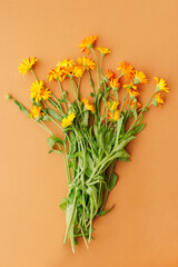 bouquet of orange medicinal marigold on an orange background, top view 