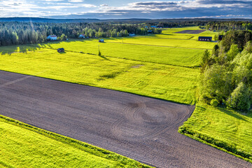 Aerial photo of fresh green spring and just plowed fields surrounded by forest, Scandianvian countryside, houses. All illuminated by sunset, blue skies with some clouds. Sweden, Umea. Side view