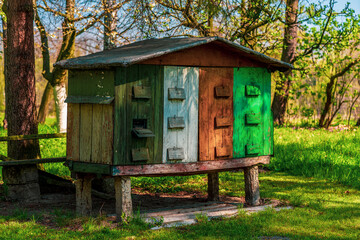 Fototapety na wymiar - Fototapeta24.pl