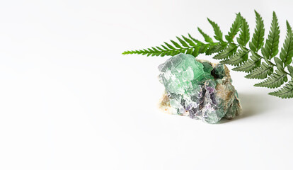 Healing Crystals and a fern branch. Natural gemstones. Gemstones are full of healing energy and...