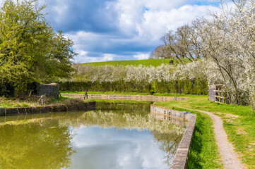 Fototapeta na wymiar Blackthorn blossom lines the banks of the Grand Union Canal near to Smeeton Westerby, UK on a Spring day