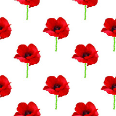 Fototapeta na wymiar Seamless pattern with poppies. Poppy design, flowers contour drawing, Vector - stock. Floral pattern for invitations, cards, print, gift wrap, textile, fabric, wallpaper