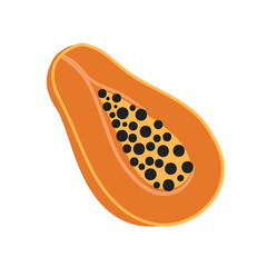 Hand drawn vector illustration of papaya slice on a white background