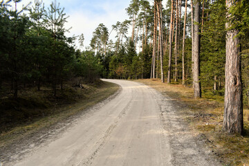 Droga przez las na roztoczu.