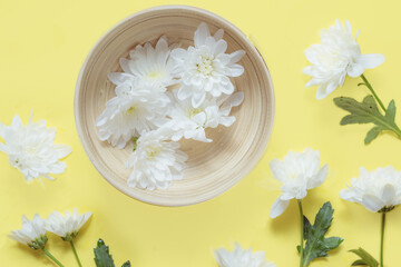 Festive flower composition on yellow background still life