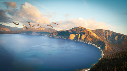 Flock of pelicans flying Over a crater Lake, Oregon, USA