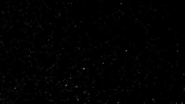 Natural Organic Dust Particles Floating On Black Background. Dynamic Dust Particles Randomly Float In Space. Shimmering Glittering Dust Particles With Bokeh. Slow motion on Black Background.