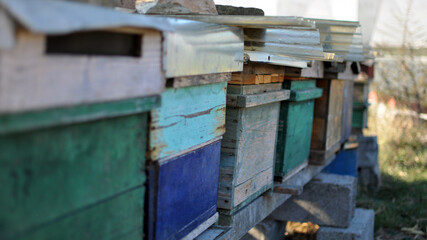 Boxes for bees arranged in a row.
Wooden beehives for worker bees in the countryside. Honey production.