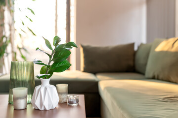 Relaxing time at comfort green interior loft house, vase with zamioculcas